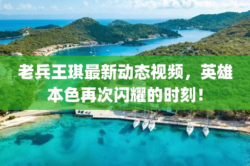 老兵王琪最新动态视频，英雄本色再次闪耀的时刻！