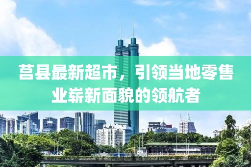 莒县最新超市，引领当地零售业崭新面貌的领航者
