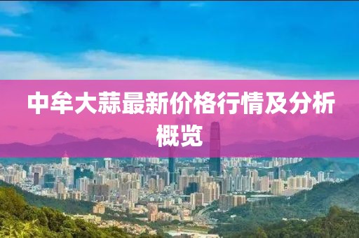 公司简介 第44页