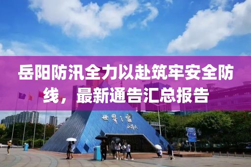岳阳防汛全力以赴筑牢安全防线，最新通告汇总报告