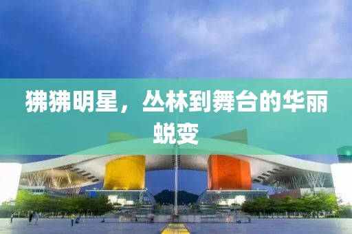 狒狒明星，丛林到舞台的华丽蜕变