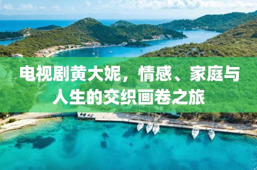 电视剧黄大妮，情感、家庭与人生的交织画卷之旅
