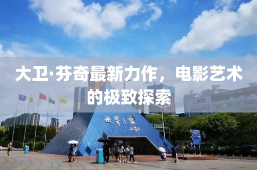 大卫·芬奇最新力作，电影艺术的极致探索