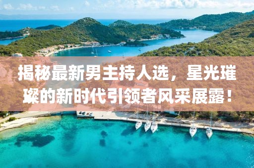 揭秘最新男主持人选，星光璀璨的新时代引领者风采展露！