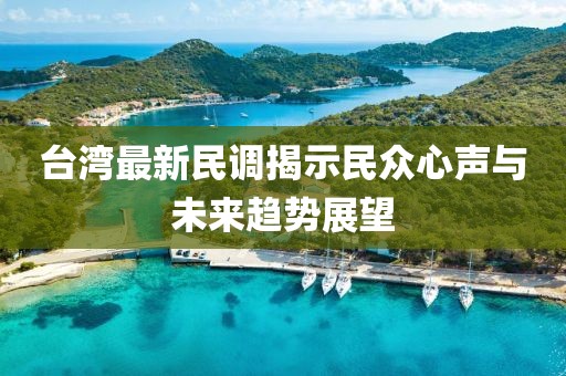 台湾最新民调揭示民众心声与未来趋势展望