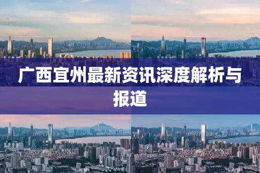 广西宜州最新资讯深度解析与报道