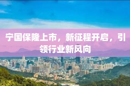 宁国保隆上市，新征程开启，引领行业新风向