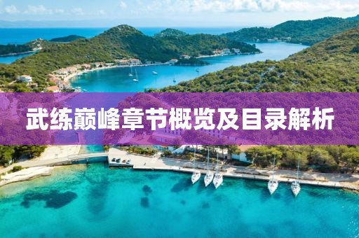 武练巅峰章节概览及目录解析