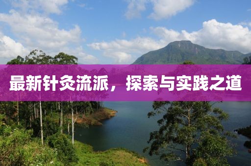 最新针灸流派，探索与实践之道