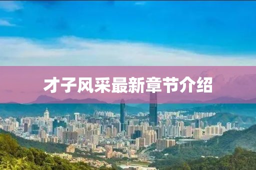 才子风采最新章节介绍