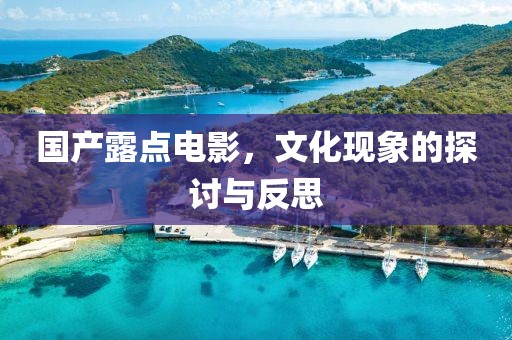国产露点电影，文化现象的探讨与反思