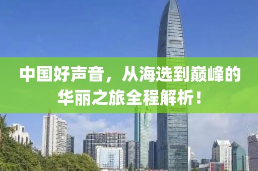 中国好声音，从海选到巅峰的华丽之旅全程解析！