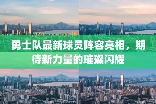 勇士队最新球员阵容亮相，期待新力量的璀璨闪耀