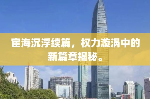 宦海沉浮续篇，权力漩涡中的新篇章揭秘。