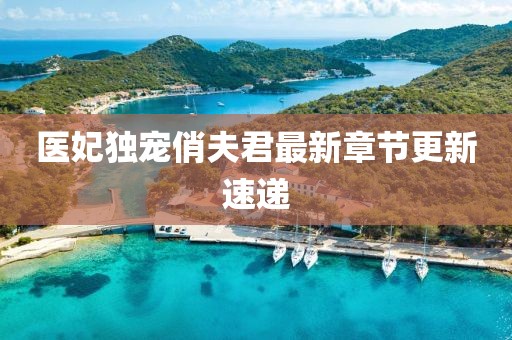 医妃独宠俏夫君最新章节更新速递