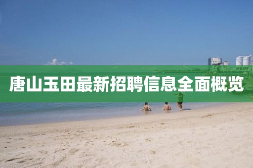 唐山玉田最新招聘信息全面概览