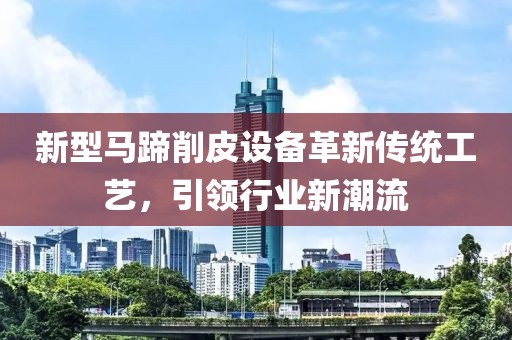 新型马蹄削皮设备革新传统工艺，引领行业新潮流