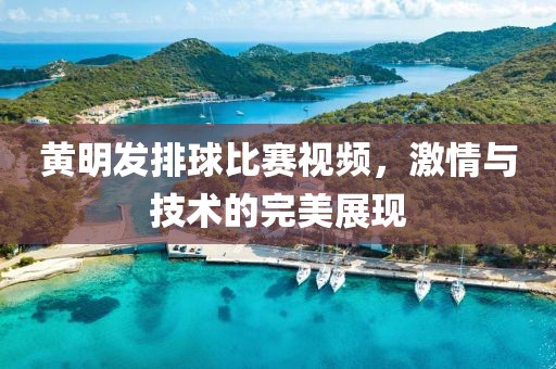 黄明发排球比赛视频，激情与技术的完美展现