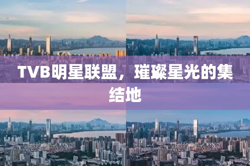 TVB明星联盟，璀璨星光的集结地