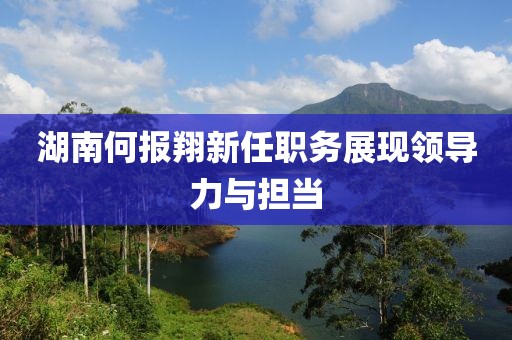 湖南何报翔新任职务展现领导力与担当