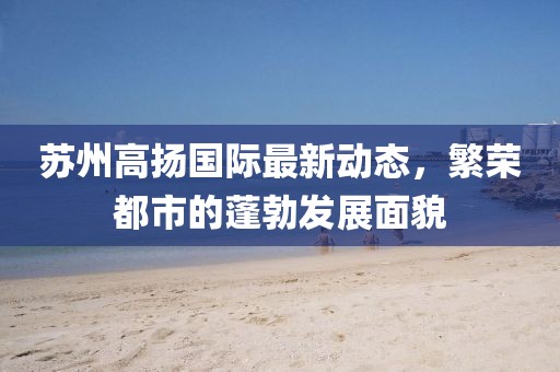 苏州高扬国际最新动态，繁荣都市的蓬勃发展面貌