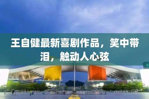 王自健最新喜剧作品，笑中带泪，触动人心弦