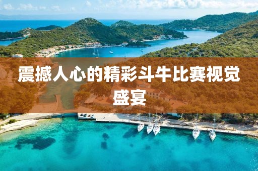 震撼人心的精彩斗牛比赛视觉盛宴