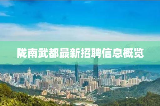 陇南武都最新招聘信息概览