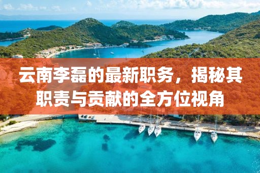 云南李磊的最新职务，揭秘其职责与贡献的全方位视角