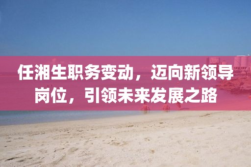 任湘生职务变动，迈向新领导岗位，引领未来发展之路
