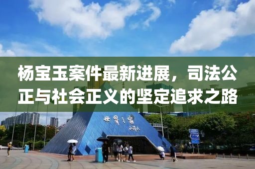 杨宝玉案件最新进展，司法公正与社会正义的坚定追求之路