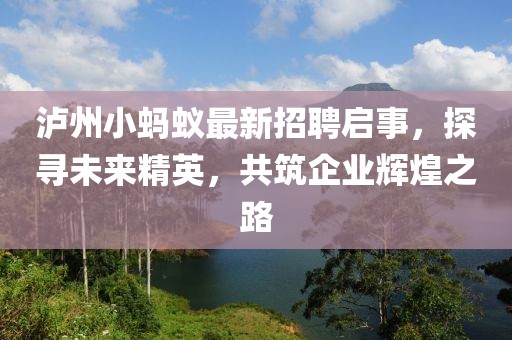 泸州小蚂蚁最新招聘启事，探寻未来精英，共筑企业辉煌之路