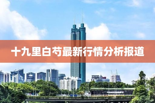 十九里白芍最新行情分析报道