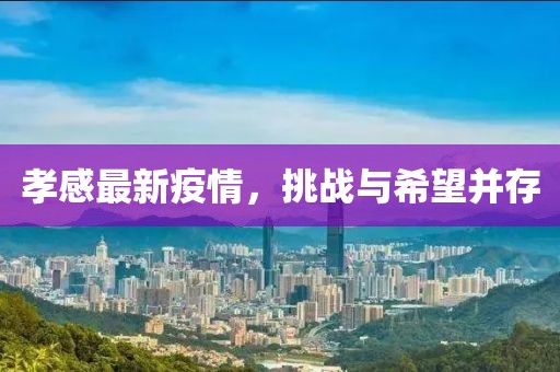 孝感最新疫情，挑战与希望并存