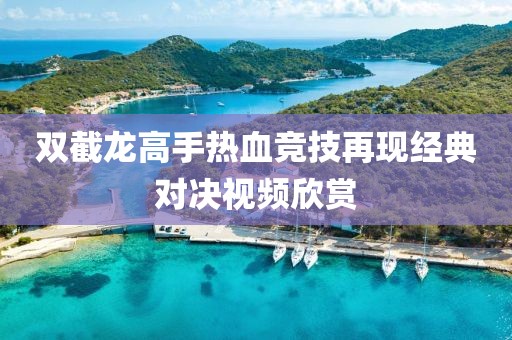 双截龙高手热血竞技再现经典对决视频欣赏