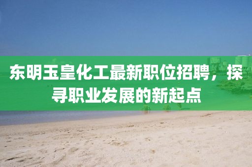 东明玉皇化工最新职位招聘，探寻职业发展的新起点