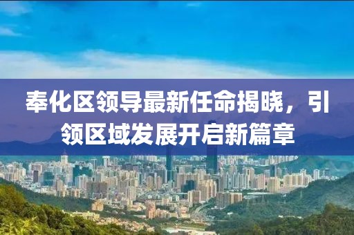奉化区领导最新任命揭晓，引领区域发展开启新篇章