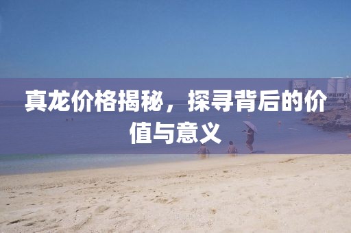 真龙价格揭秘，探寻背后的价值与意义