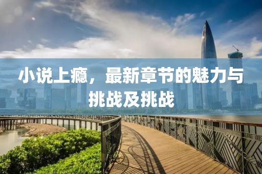 小说上瘾，最新章节的魅力与挑战及挑战