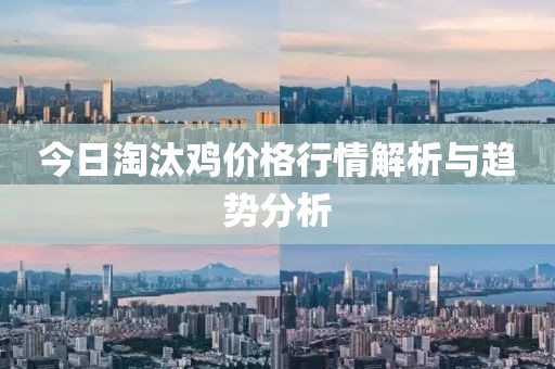 今日淘汰鸡价格行情解析与趋势分析