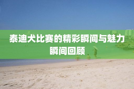 泰迪犬比赛的精彩瞬间与魅力瞬间回顾