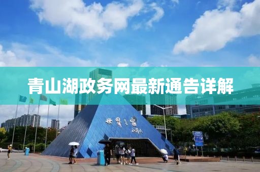 青山湖政务网最新通告详解