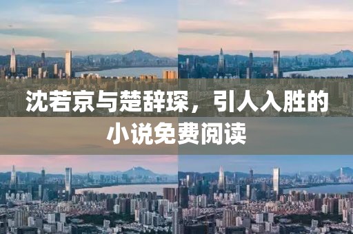 沈若京与楚辞琛，引人入胜的小说免费阅读