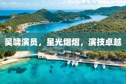 吴啸演员，星光熠熠，演技卓越
