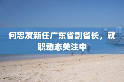 何忠友新任广东省副省长，就职动态关注中