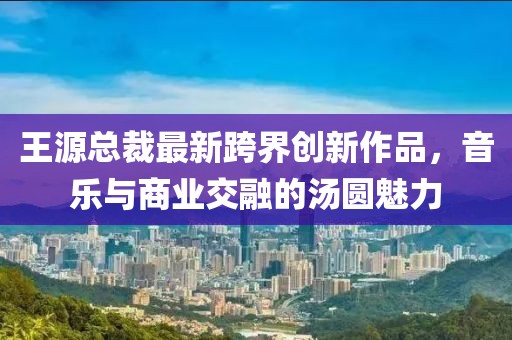 王源总裁最新跨界创新作品，音乐与商业交融的汤圆魅力