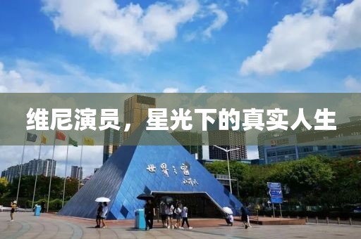 维尼演员，星光下的真实人生