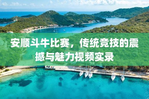 安顺斗牛比赛，传统竞技的震撼与魅力视频实录