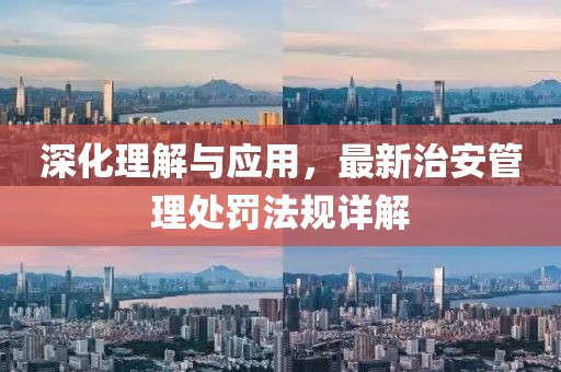 深化理解与应用，最新治安管理处罚法规详解