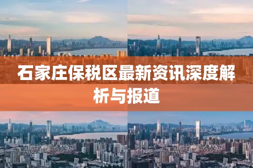 石家庄保税区最新资讯深度解析与报道